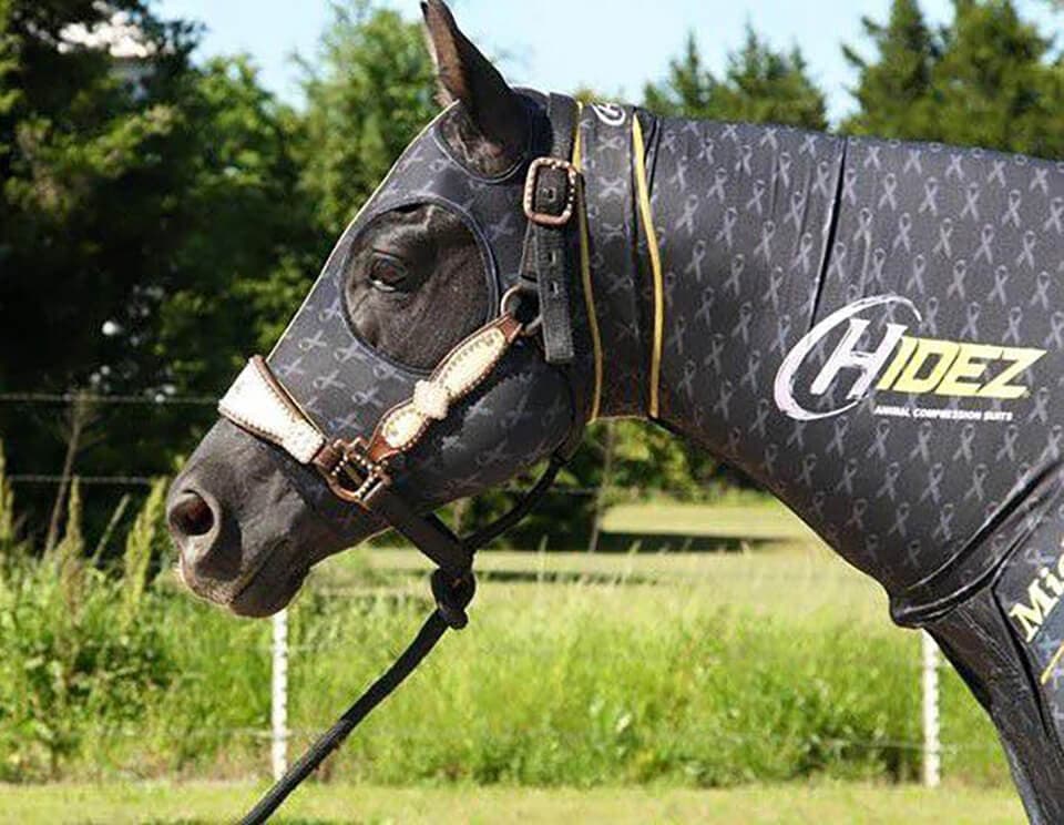 Hidez Equine Compression Benefits