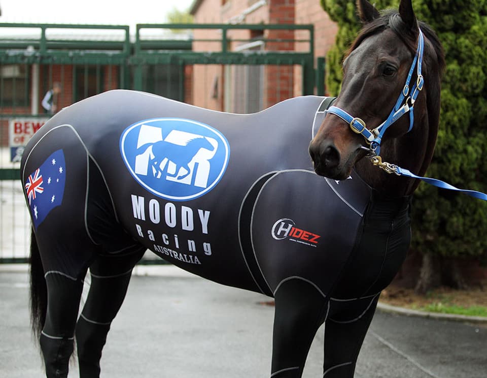 Black Caviar wearing Hidez Compression Suit