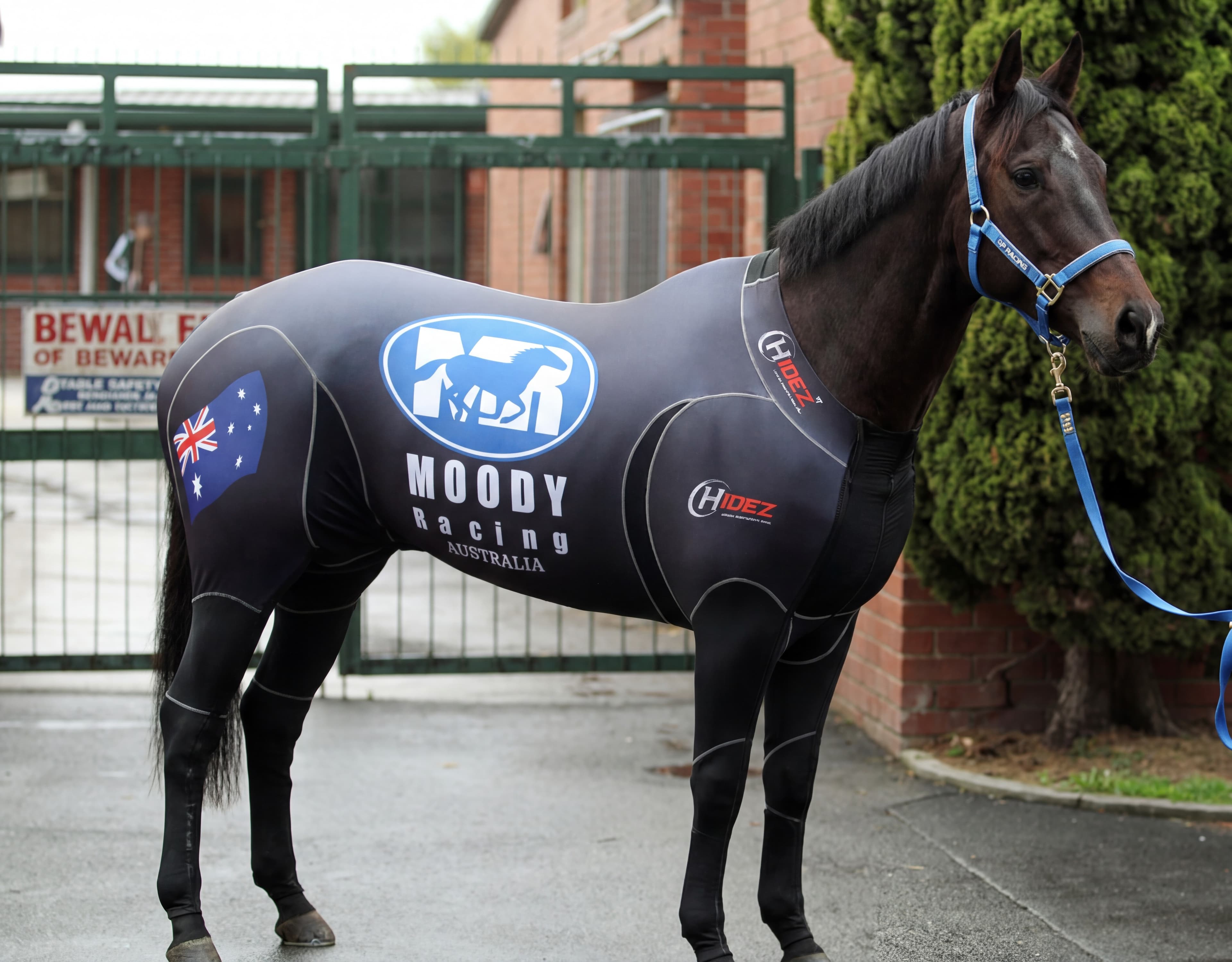 Hidez Horse Compression Suit