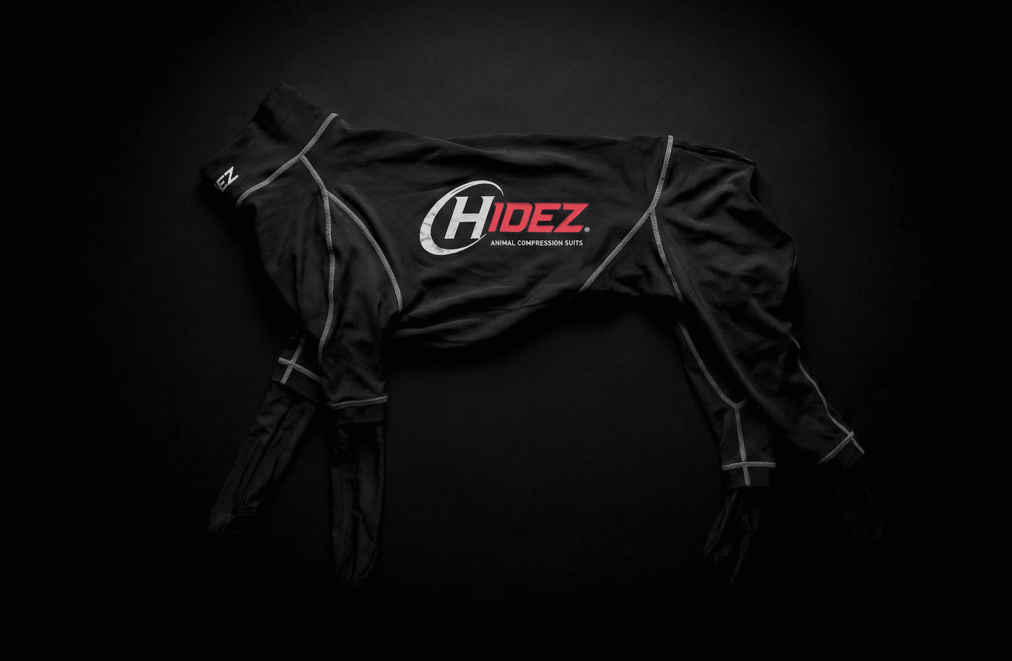 A racing greyhound wearing a Hidez graduated compression suit